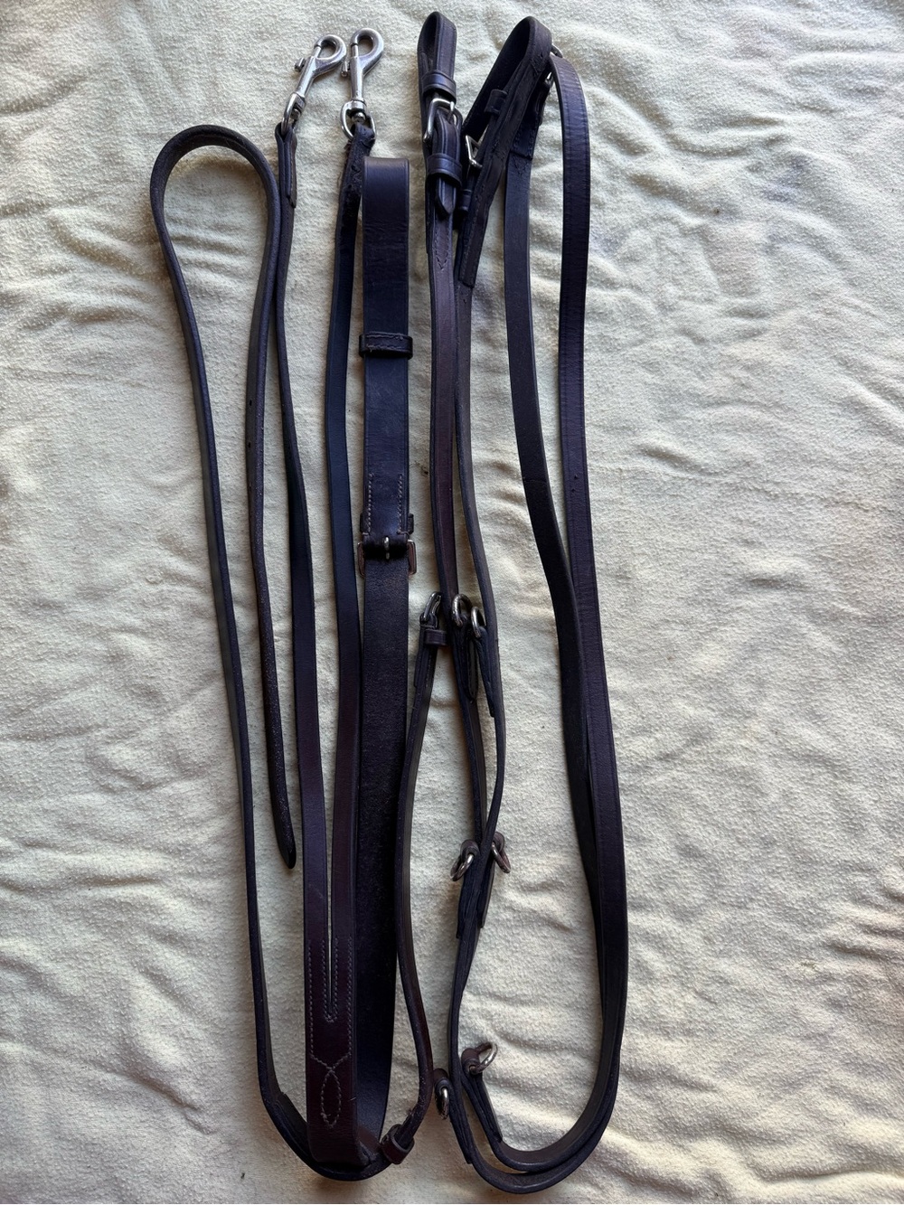Cob sized German martingale
